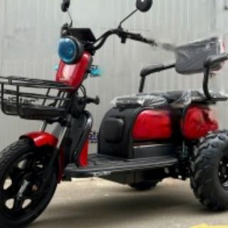 Електрическа триколка C1 Offroad 2500W