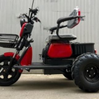 Електрическа триколка C1 Offroad 2500W